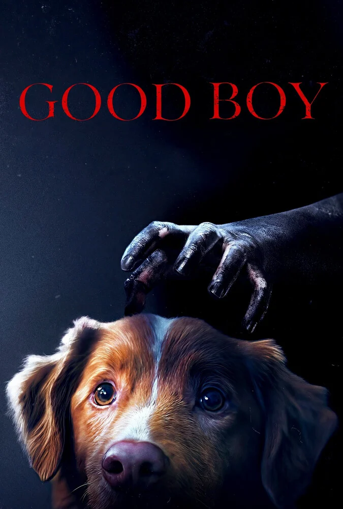 فیلم پسر خوب-good boy