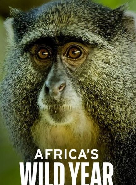 سریال سال حیات وحش آفریقا-africa’s wild year