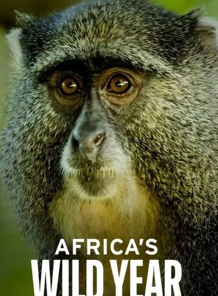 سریال سال حیات وحش آفریقا-africa’s wild year