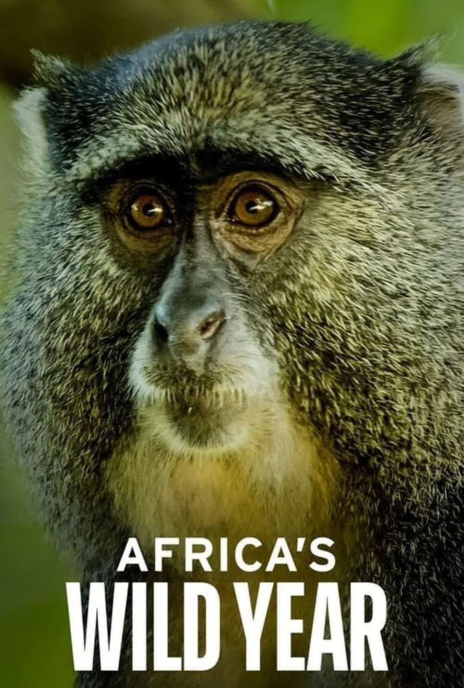 سریال سال حیات وحش آفریقا-africa’s wild year