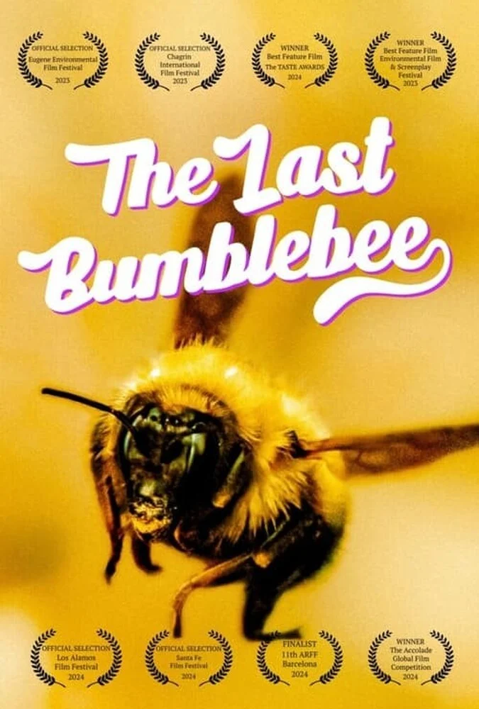 فیلم آخرین زنبور عسل-the last bumblebee