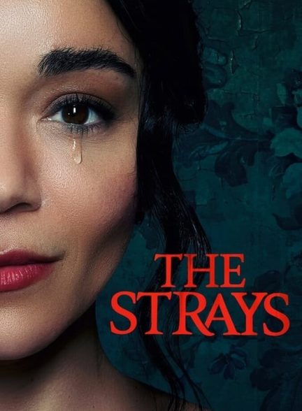 فیلم ولگردها-the strays