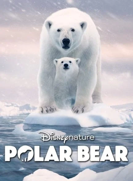 فیلم خرس قطبی-polar bear