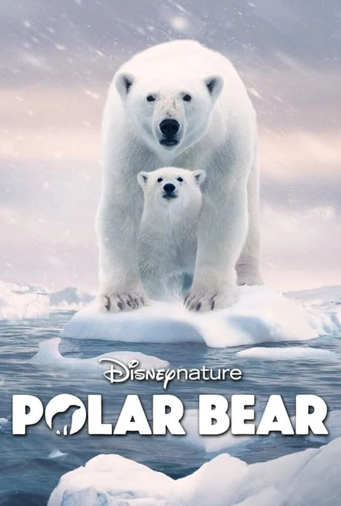 فیلم خرس قطبی-polar bear