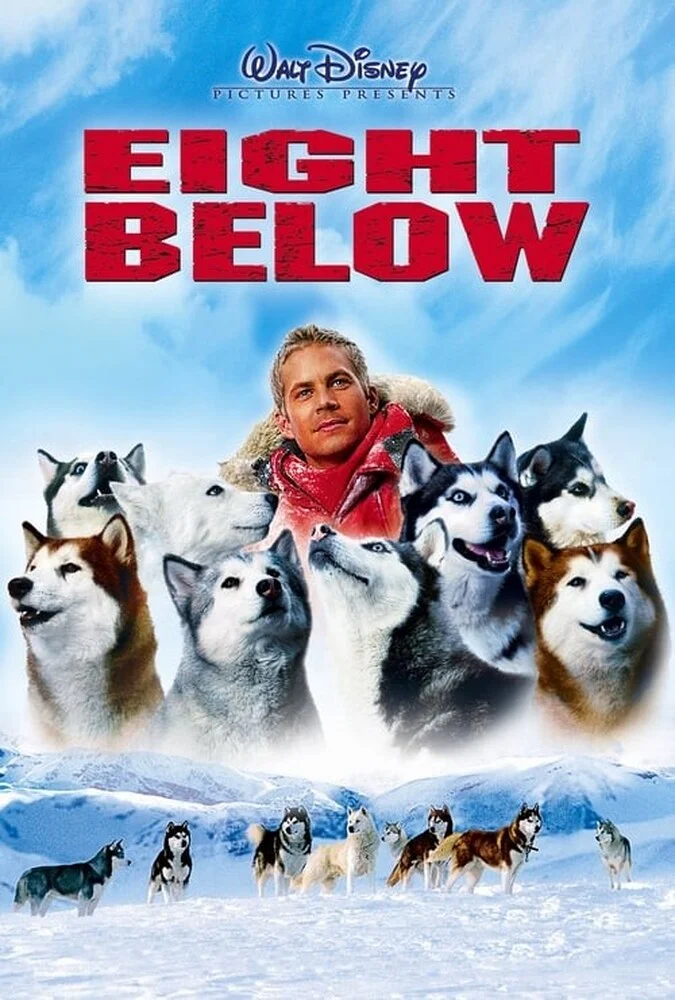 فیلم هشت درجه زیر صفر - Eight Below - پوستر فیلم با سگ‌های هاسکی در برف