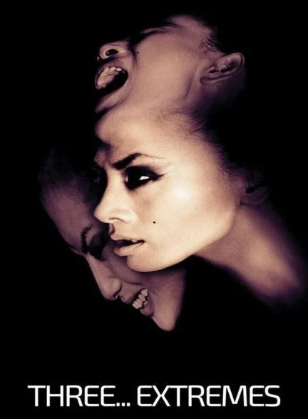 فیلم سه… بی‌نهایت-three… extremes