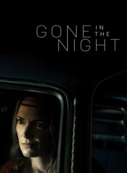 فیلم گمشده در شب-gone in the night
