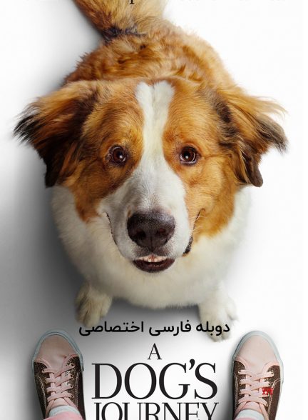 فیلم سفر یک سگ-a dog’s journey