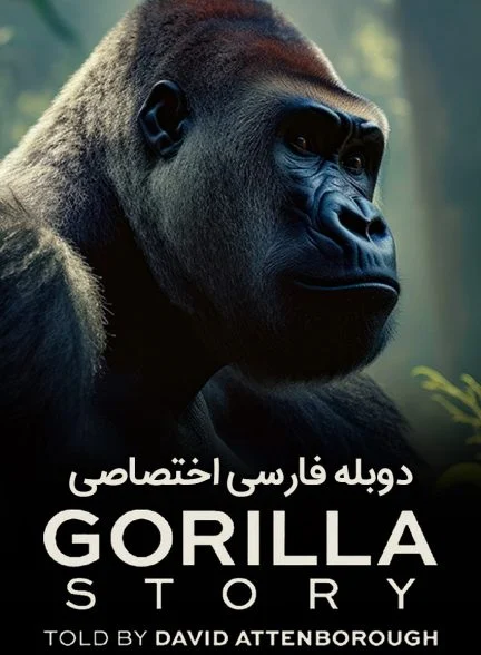 فیلم داستان یک گوریل: به روایت دیوید آتنبورو-a gorilla story: told by david attenborough