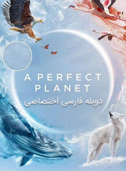 سریال یک سیاره بی نقص-a perfect planet