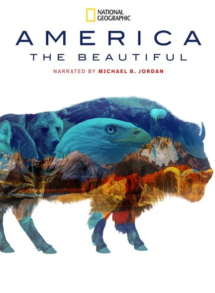 سریال آمریکای زیبا-america the beautiful