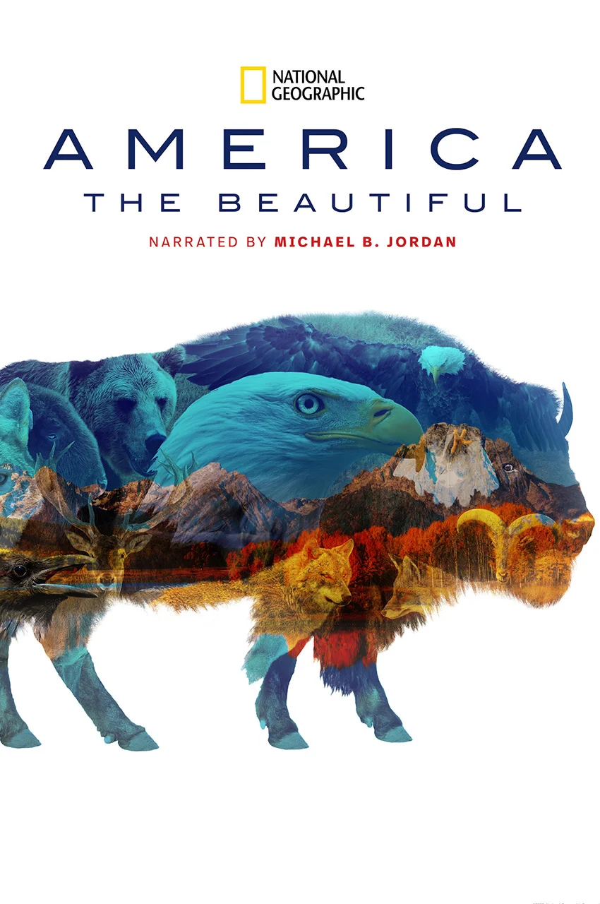 سریال آمریکای زیبا-america the beautiful