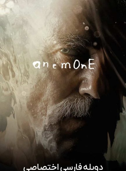 فیلم شقایق-anemone