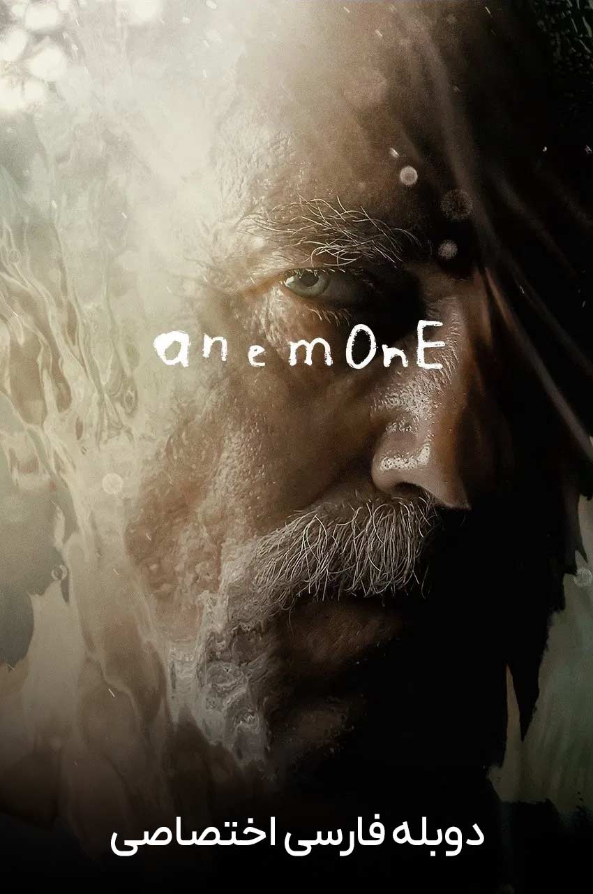 صحنه‌ای از فیلم شقایق Anemone 2024 در طبیعت