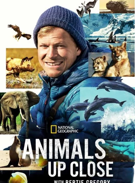 سریال حیوانات از نزدیک با برتی گرگوری-animals up close with bertie gregory