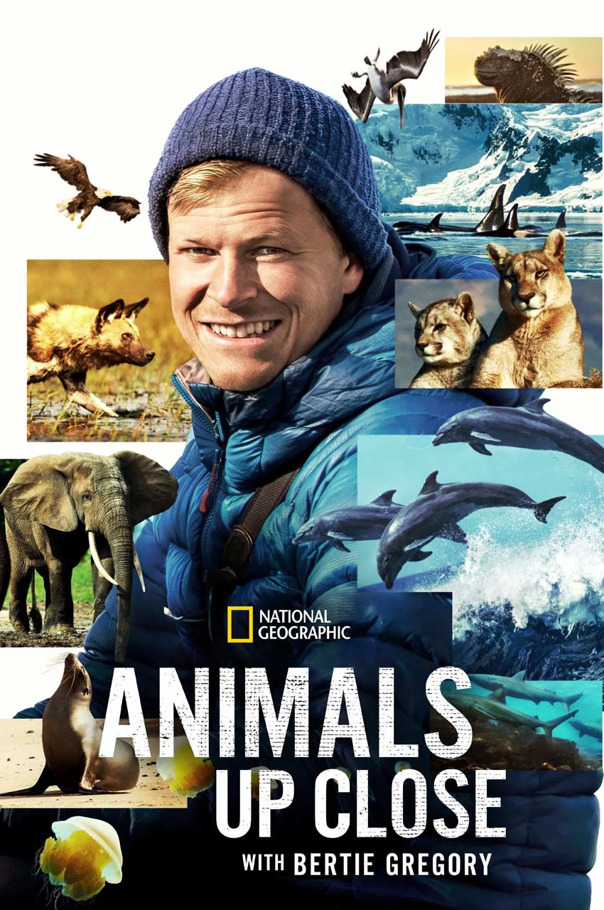 سریال حیوانات از نزدیک با برتی گرگوری-animals up close with bertie gregory
