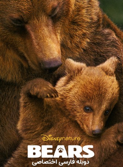 فیلم خرس ها-bears