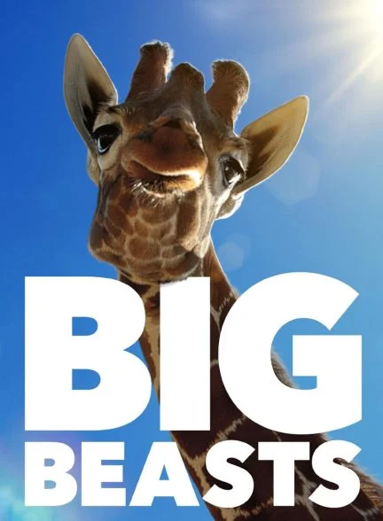 سریال حیوانات غول پیکر-big beasts