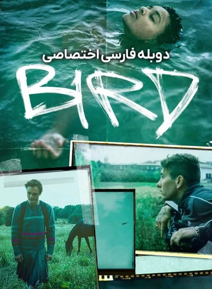 فیلم پرنده-bird