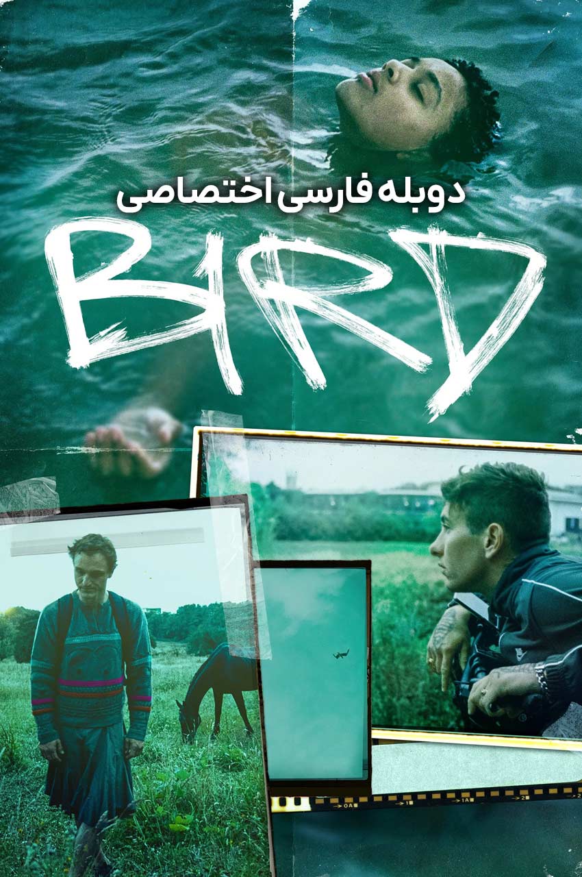 فیلم پرنده-bird