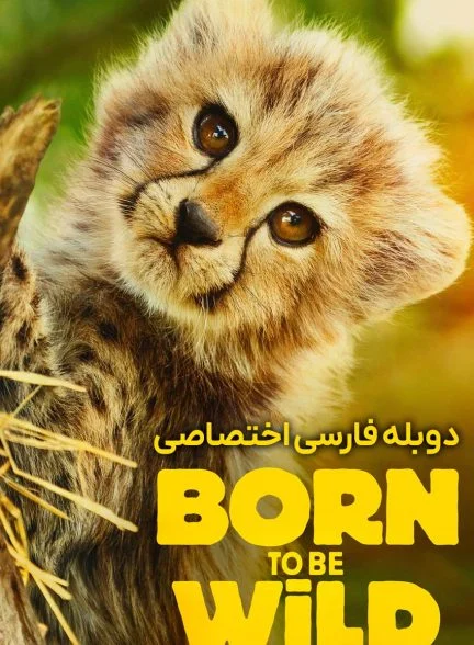 سریال زاده برای وحشی بودن-born to be wild