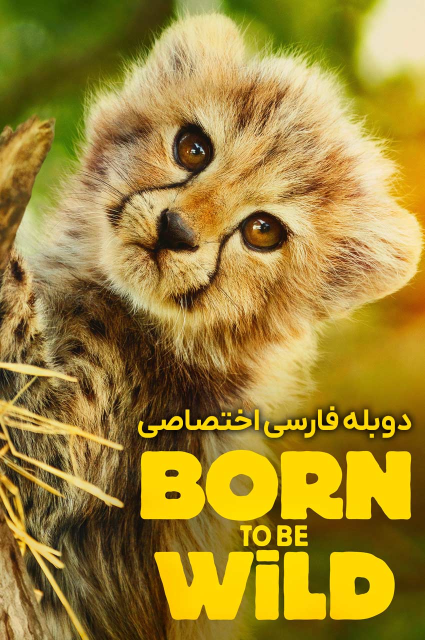 سریال زاده برای وحشی بودن-born to be wild