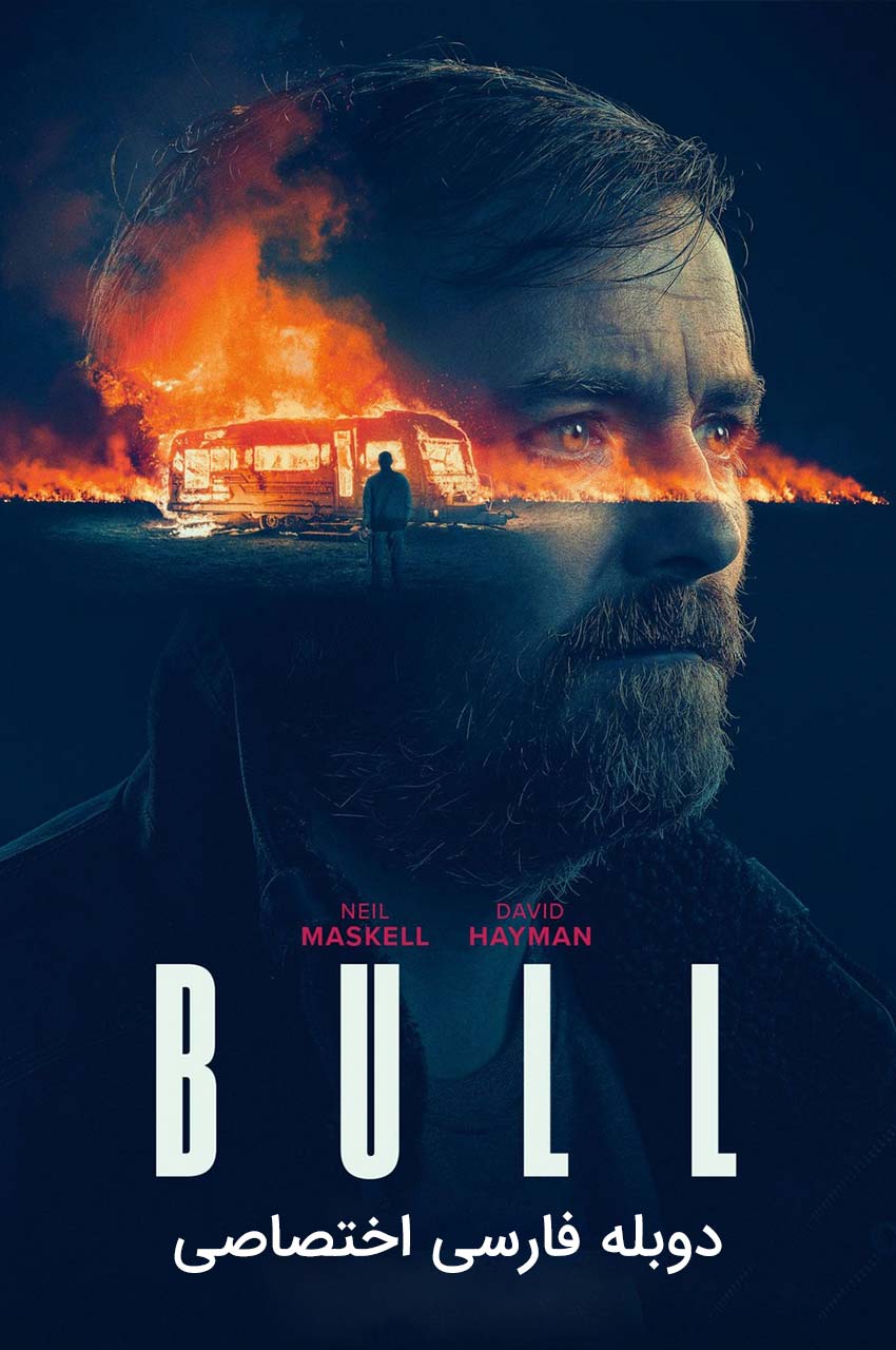 فیلم گاو نر-bull