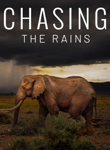 سریال در تعقیب باران-chasing the rains