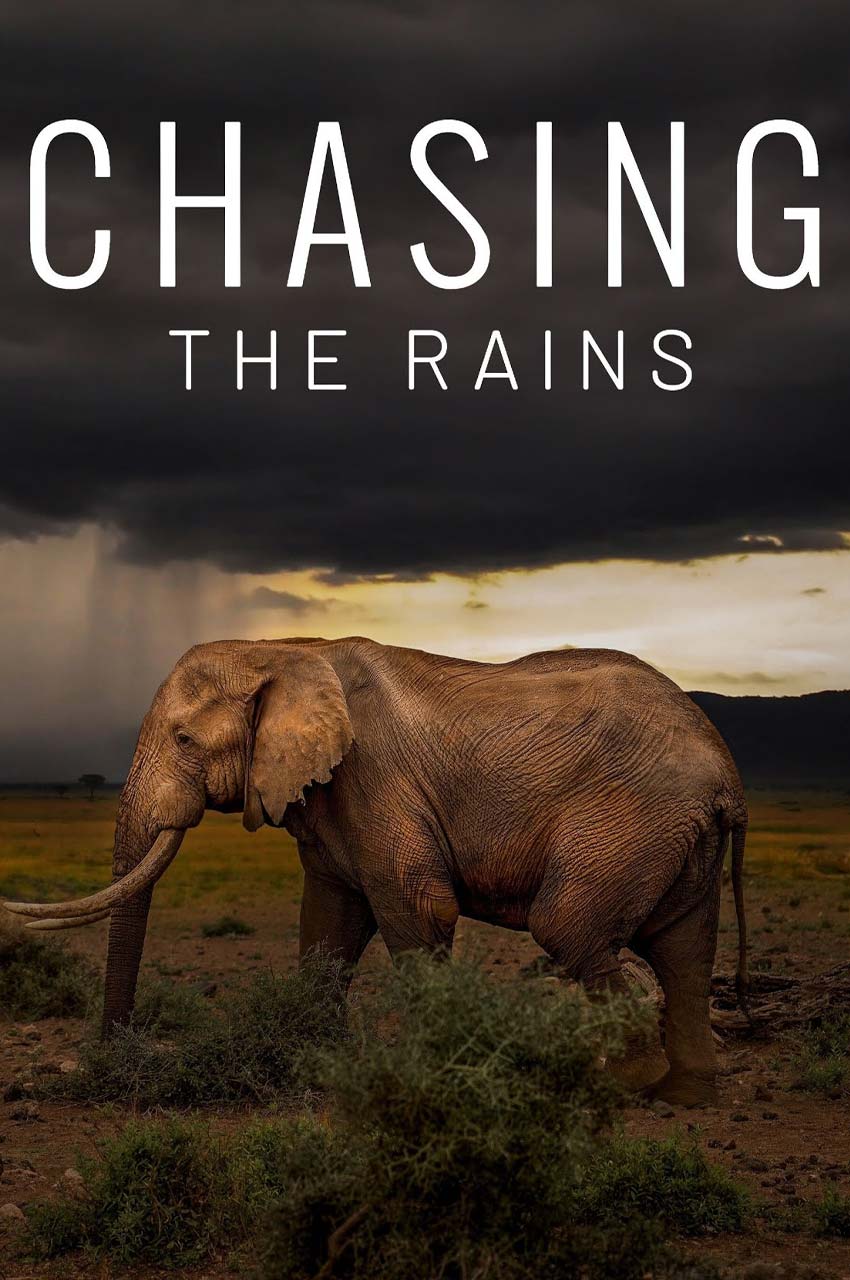 سریال در تعقیب باران-chasing the rains