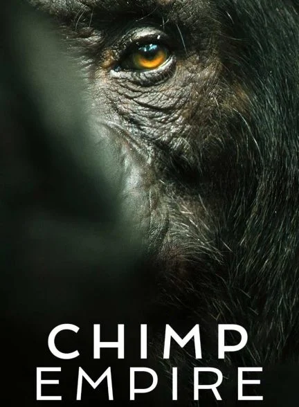 سریال امپراتوری شامپانزه ها-chimp empire