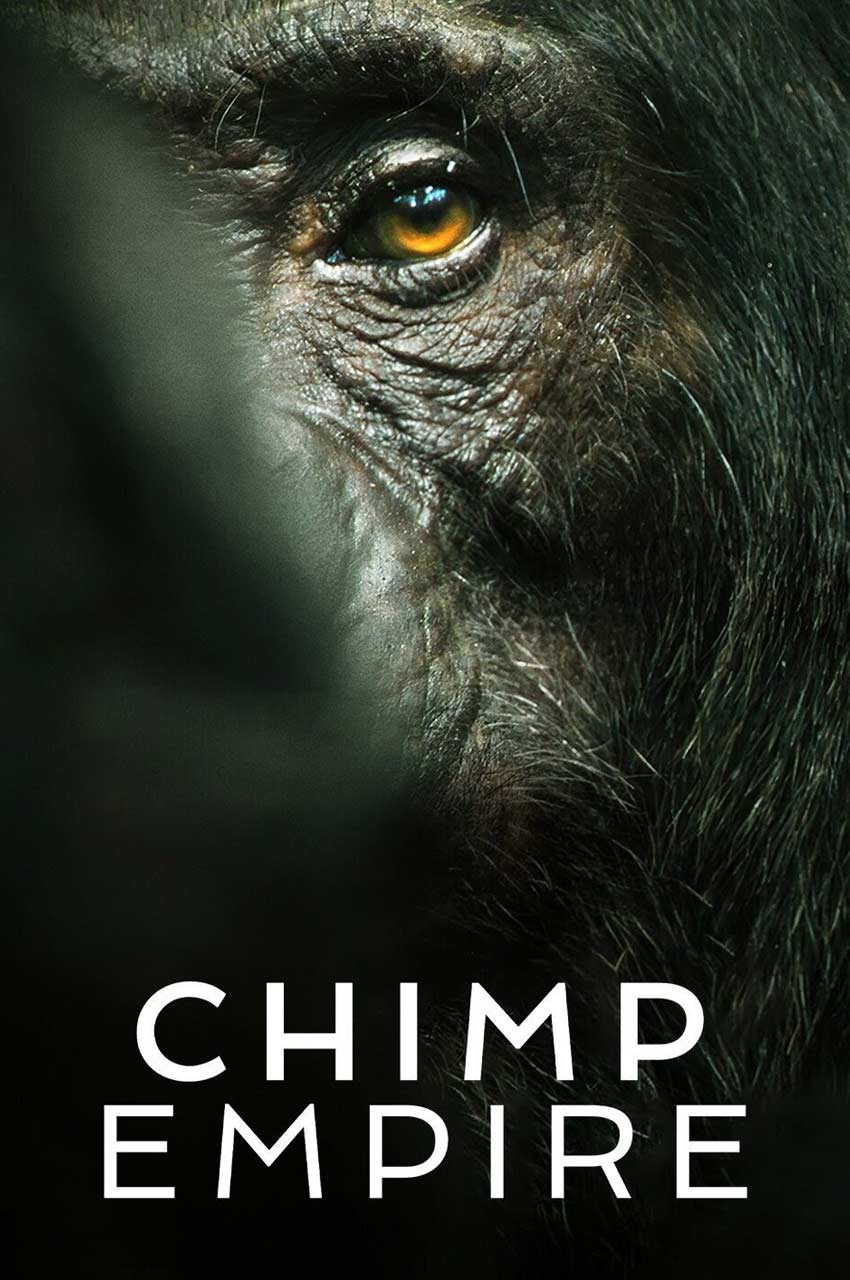 سریال امپراتوری شامپانزه ها-chimp empire