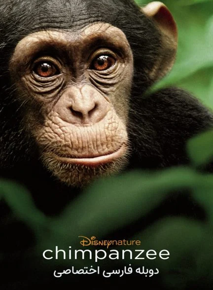 فیلم شامپانزه-chimpanzee
