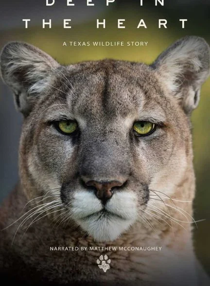 فیلم اعماق قلب: حیات وحش تگزاس-deep in the heart: a texas wildlife story