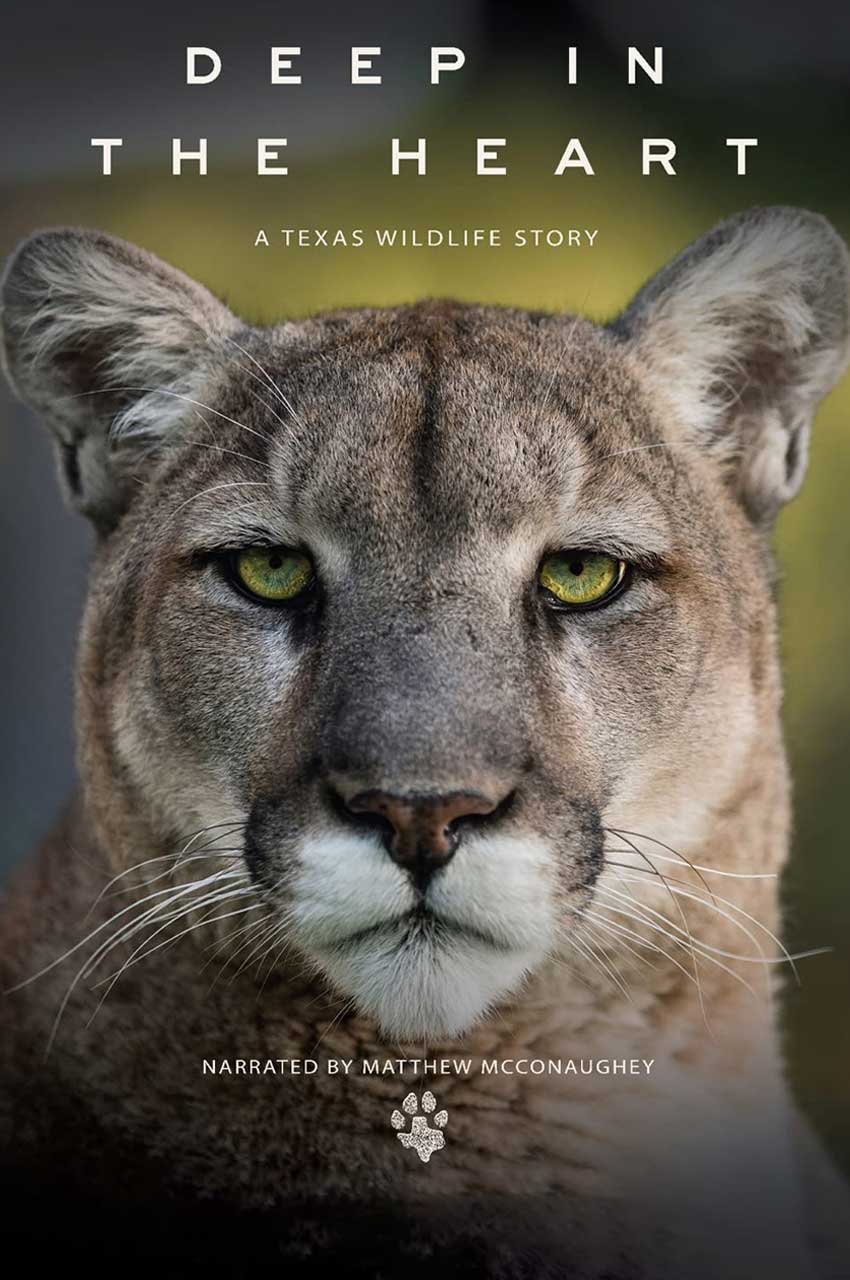 فیلم اعماق قلب: حیات وحش تگزاس-deep in the heart: a texas wildlife story
