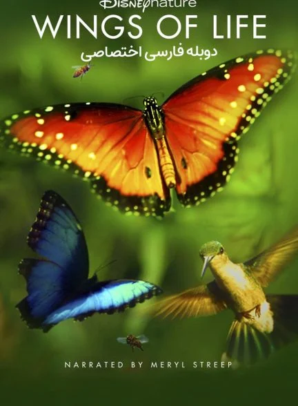 فیلم بال های زندگی-disneynature: wings of life