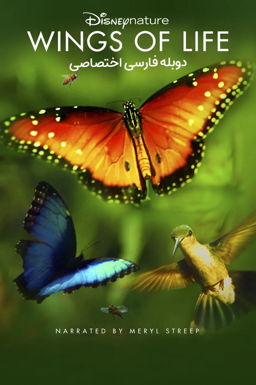 فیلم بال های زندگی-disneynature: wings of life
