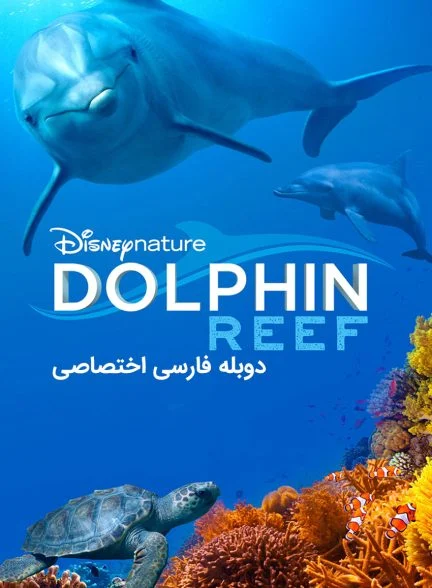 فیلم صخره دلفین-dolphin reef