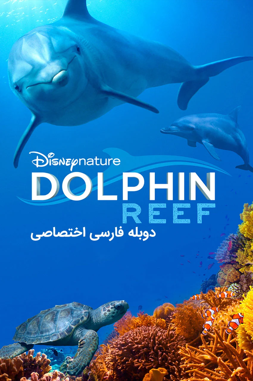 فیلم صخره دلفین-dolphin reef