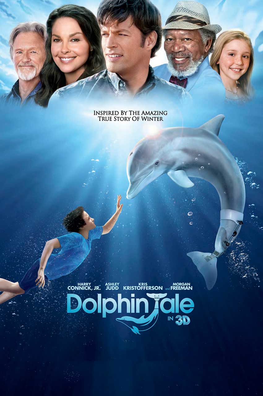 فیلم افسانه دلفین-dolphin tale