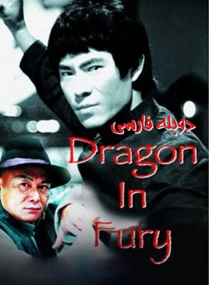 فیلم اژدهای مبارز-dragon in fury