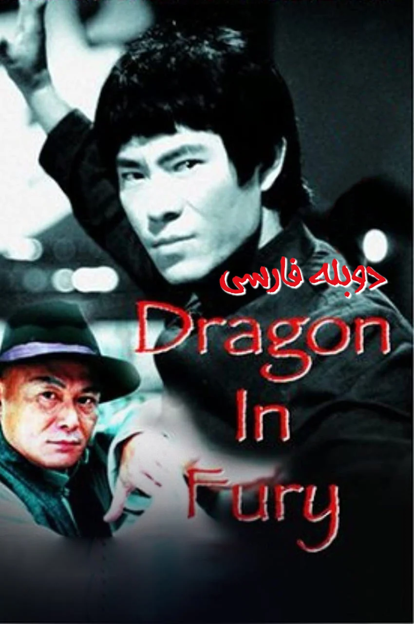 فیلم اژدهای مبارز-dragon in fury