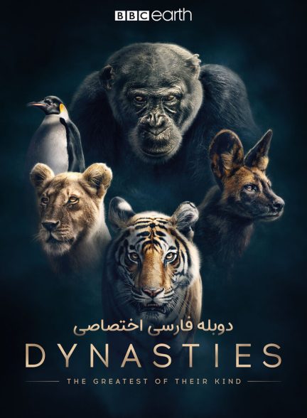 سریال بقای نسل‌ها-dynasties