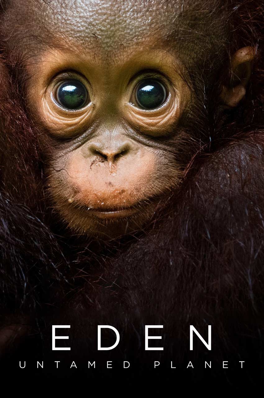 سریال عدن: سیاره رام نشده-eden: untamed planet