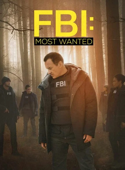 سریال اف بی آی: تحت تعقیب-fbi: most wanted