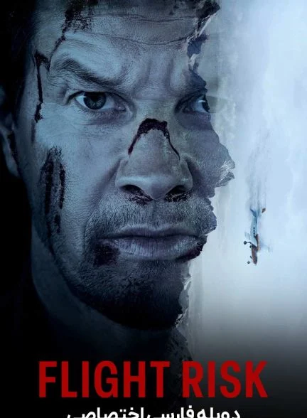 فیلم خطر پرواز-flight risk