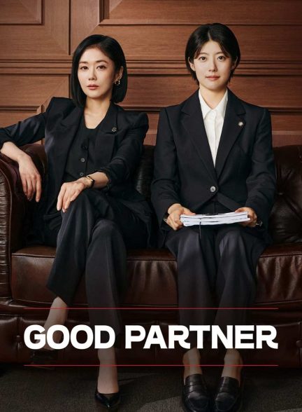 سریال شریک خوب-good partner