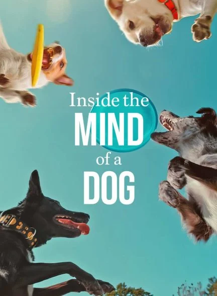 فیلم درون ذهن یک سگ-inside the mind of a dog