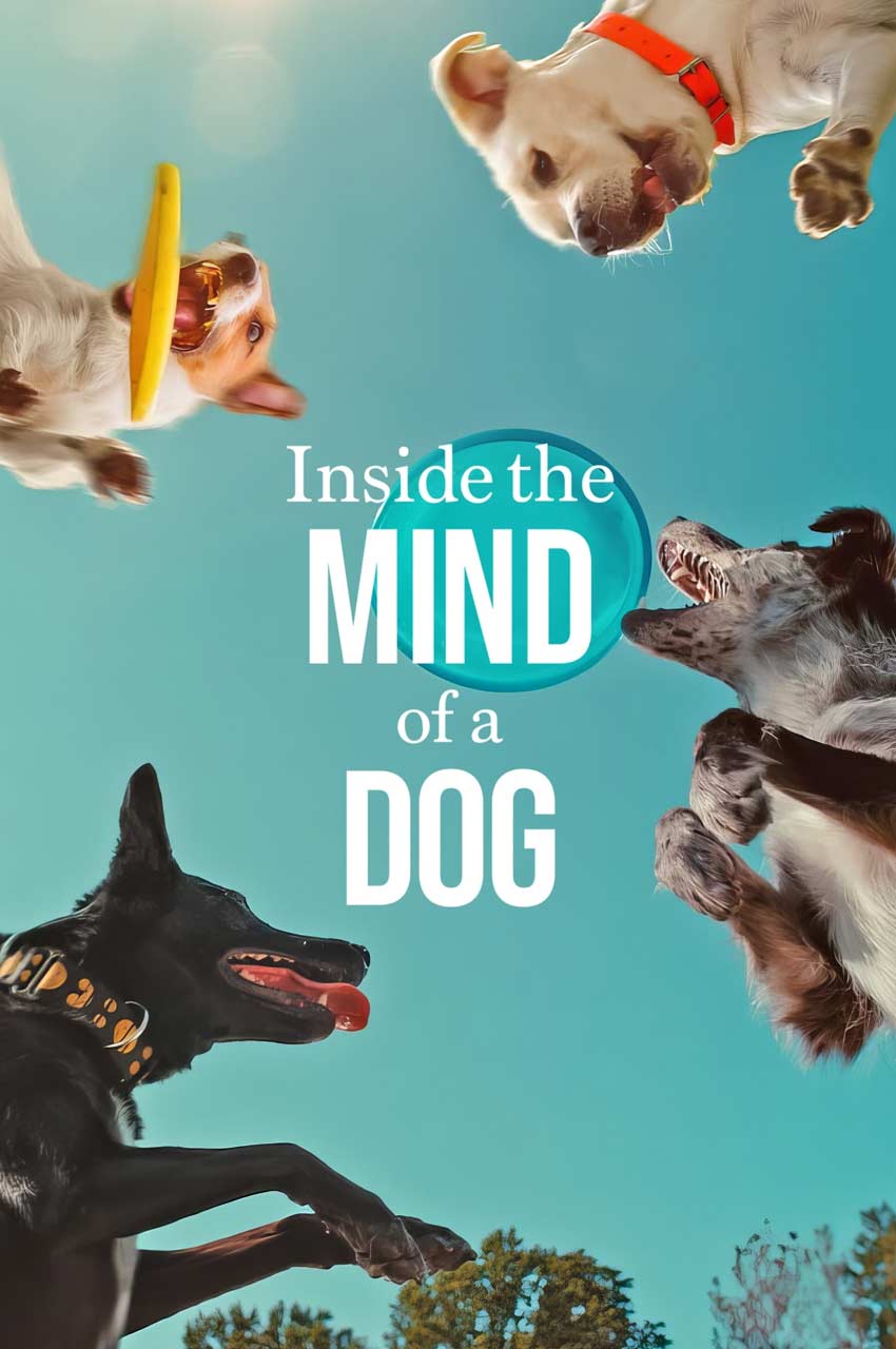 فیلم درون ذهن یک سگ-inside the mind of a dog