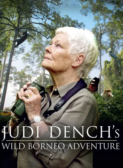 فیلم ماجراجویی جودی دنچ در حیات وحش برونئو-judi dench’s wild borneo adventure