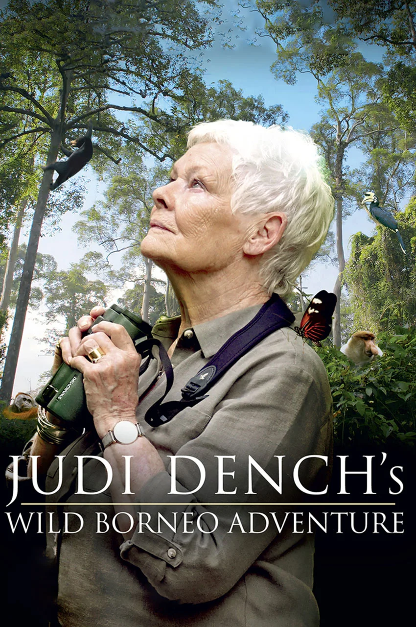 فیلم ماجراجویی جودی دنچ در حیات وحش برونئو-judi dench’s wild borneo adventure